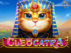 Bedava casino oyunları oyna book of ra45